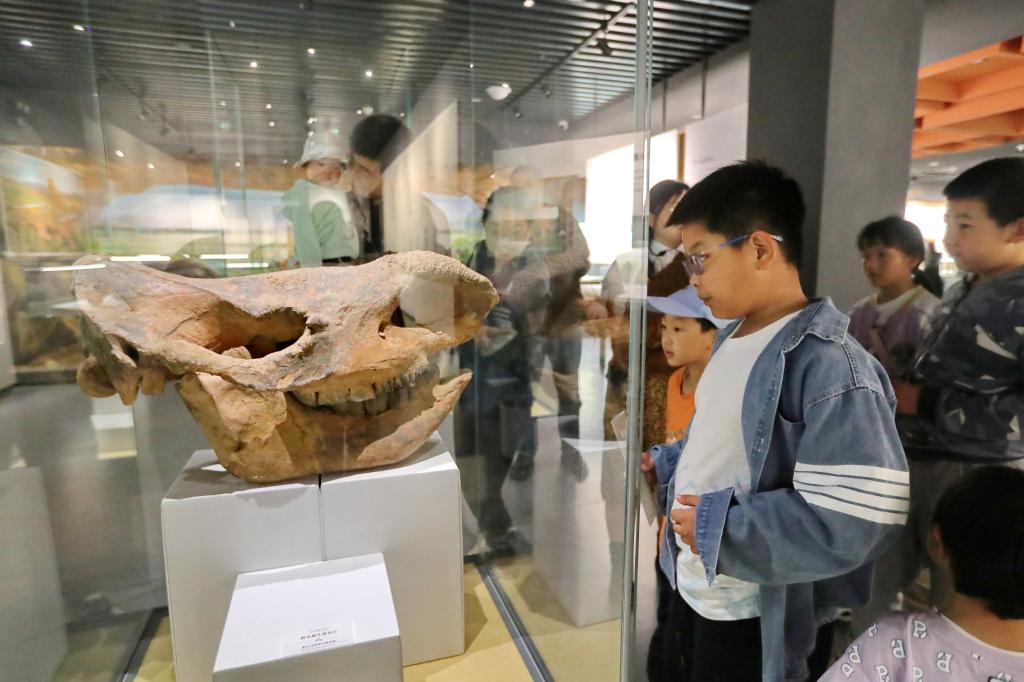 一起暢游趣味滿滿的絲路研學(xué)之旅吧