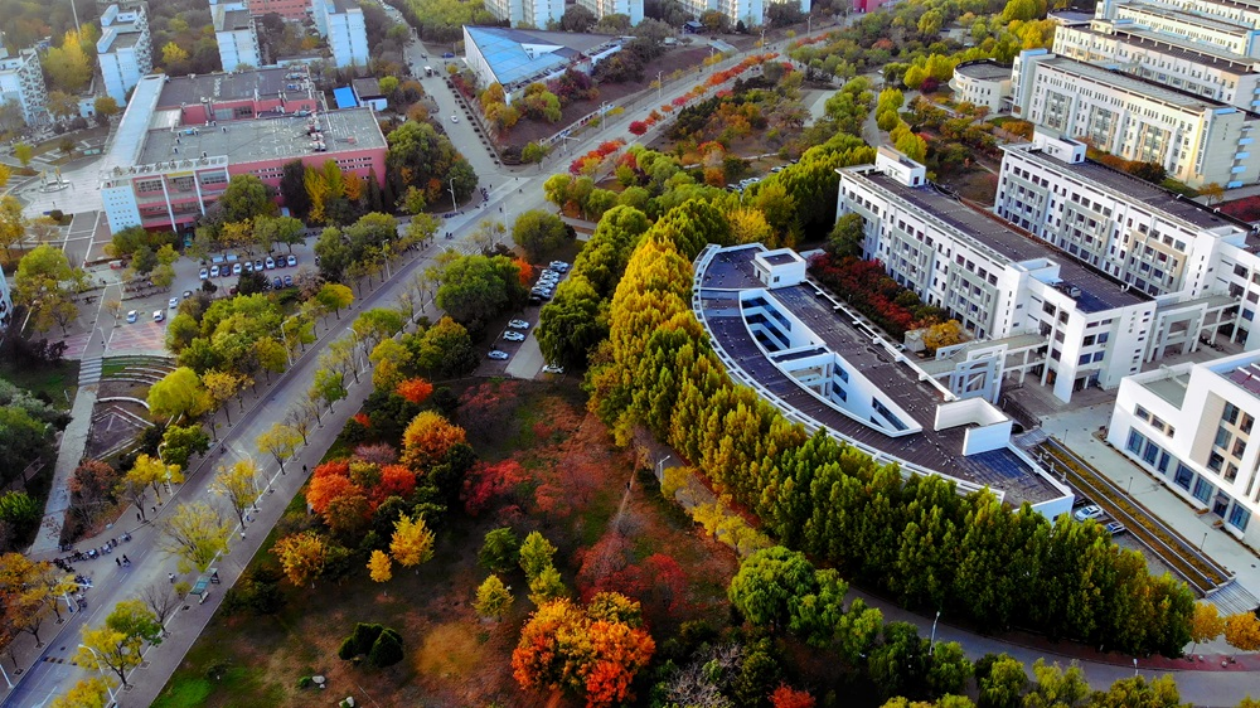 校園尋秋記：收集燕園秋日限定記憶！