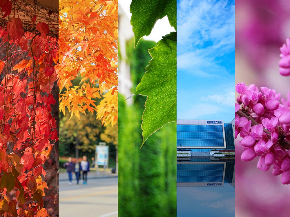 色彩紛呈，快來(lái)解鎖彩虹色燕大！