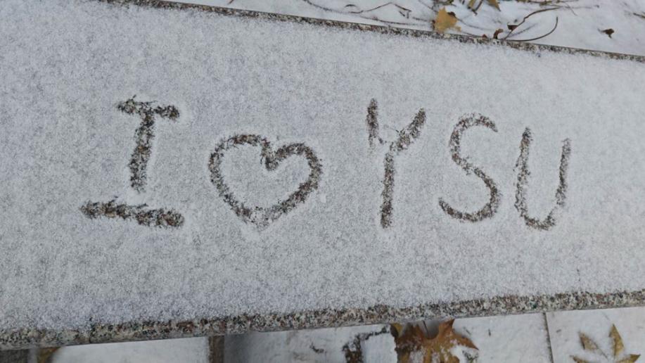 燕園逢雪來，觸處似花開