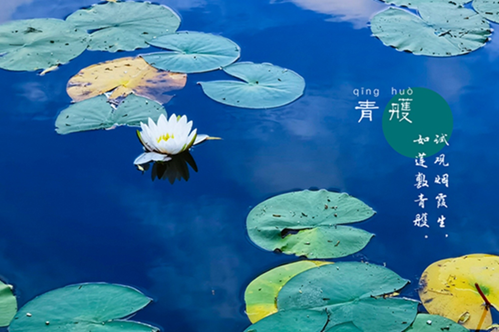 在四季流轉(zhuǎn)中，許你最美中國色（組圖）